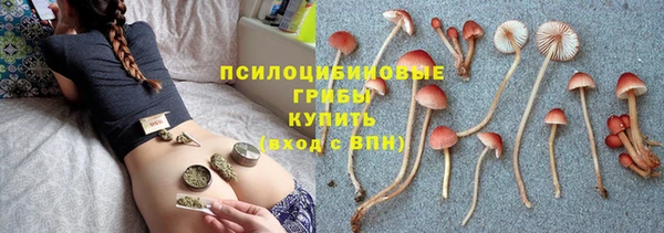 каннабис Алексеевка