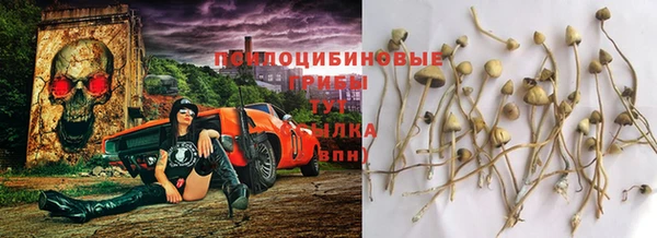 каннабис Алексеевка