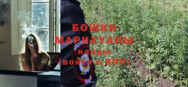 дурь Алзамай