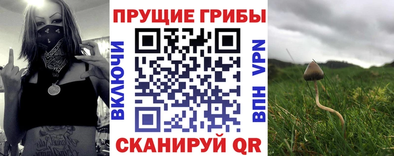 Галлюциногенные грибы GOLDEN TEACHER Санкт-Петербург